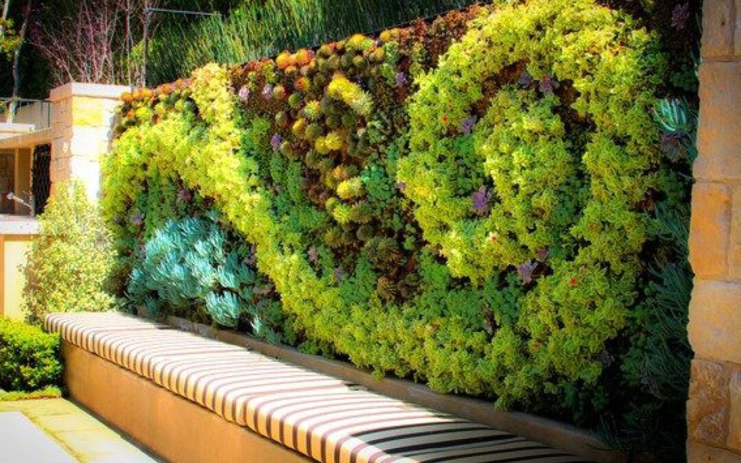 Transform Indoors with Living Walls & Gardens