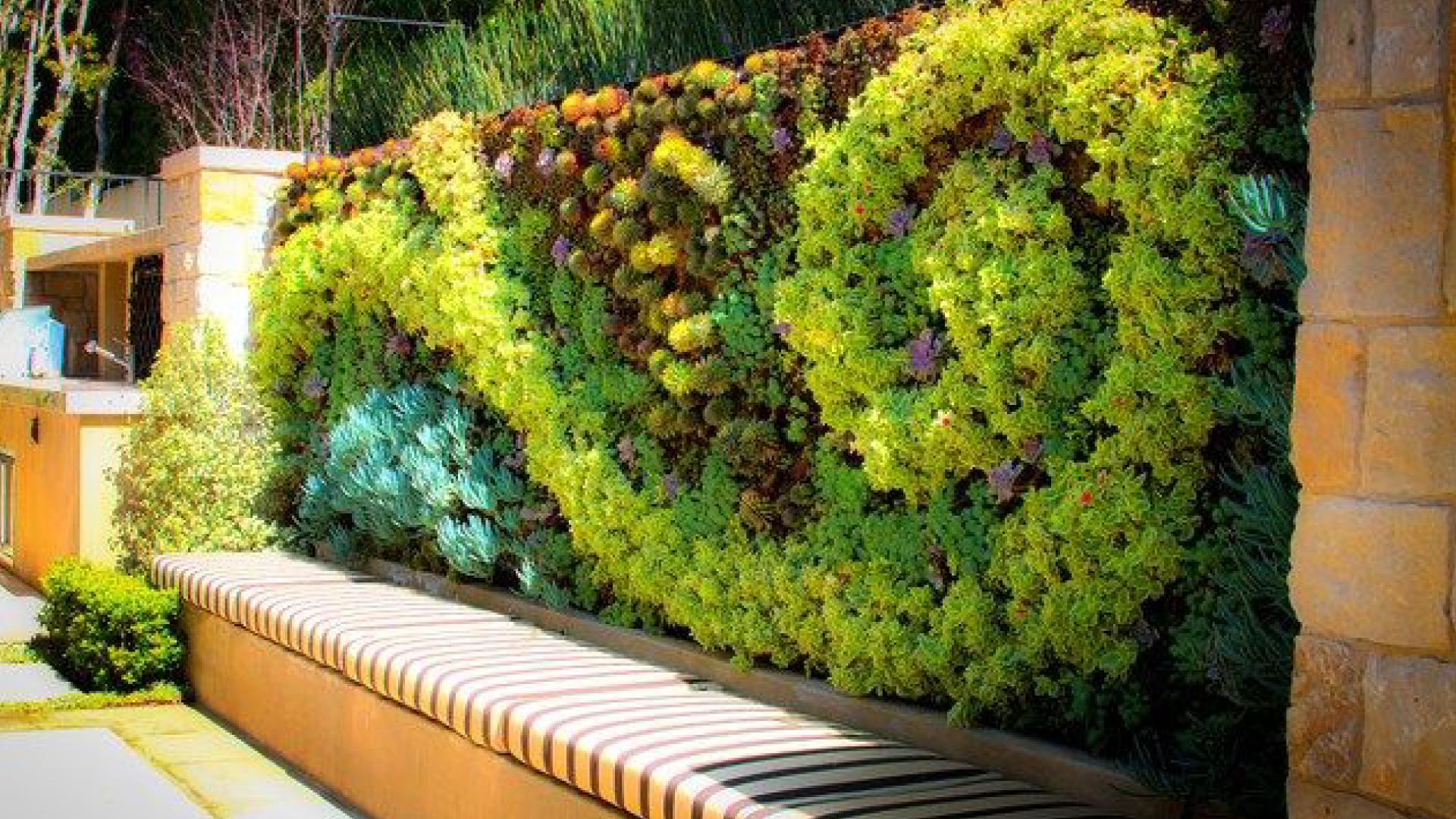 Transform Indoors with Living Walls & Gardens