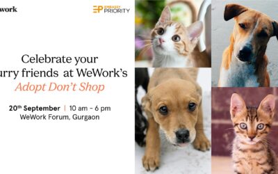 WeWork’s Adopt, Don’t Shop